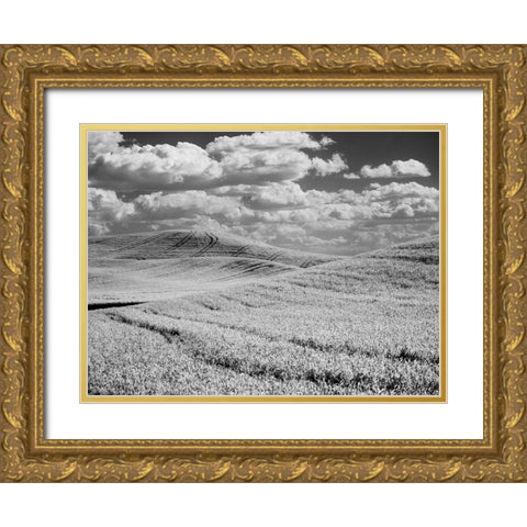 USA-Washington State-Palouse-Crops growing on the rolling hills of the Palouse Gold Ornate Wood Framed Art Print with Double Matting by Eggers, Terry