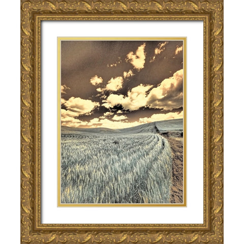 USA-Washington State-Palouse-Crops growing on the rolling hills of the Palouse Gold Ornate Wood Framed Art Print with Double Matting by Eggers, Terry