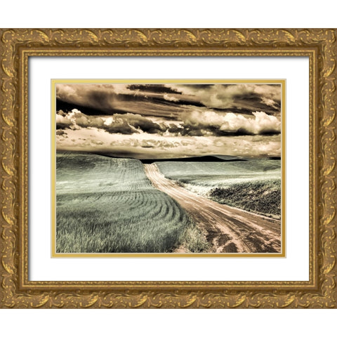 USA-Washington State-Palouse-Country backroad through spring crops Gold Ornate Wood Framed Art Print with Double Matting by Eggers, Terry