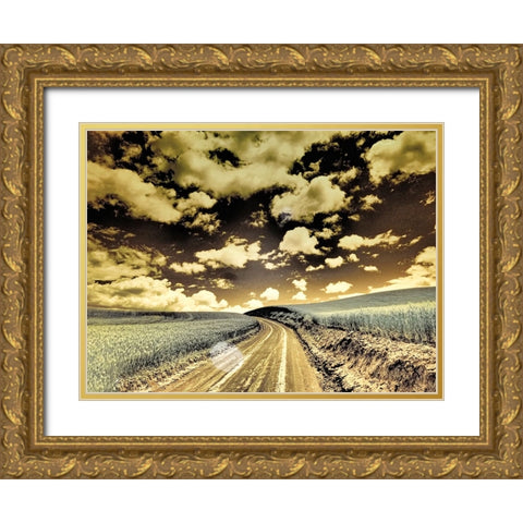USA-Washington State-Palouse-Country backroad through spring crops Gold Ornate Wood Framed Art Print with Double Matting by Eggers, Terry