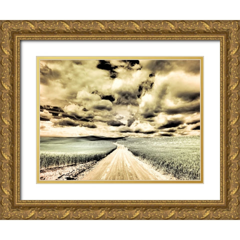 USA-Washington State-Palouse-Country backroad through spring crops Gold Ornate Wood Framed Art Print with Double Matting by Eggers, Terry