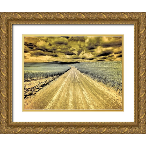 USA-Washington State-Palouse-Country backroad through spring crops Gold Ornate Wood Framed Art Print with Double Matting by Eggers, Terry