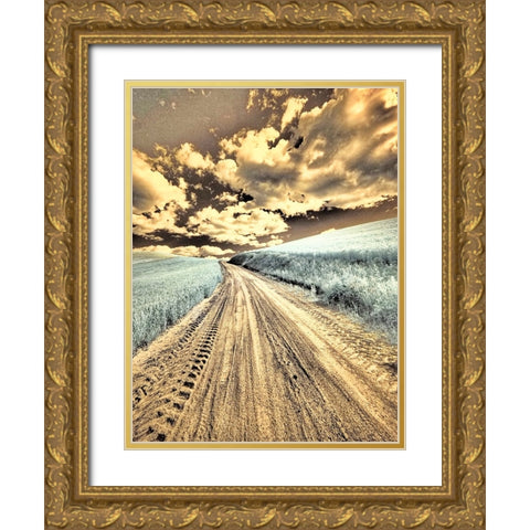 USA-Washington State-Palouse-Country backroad through spring crops Gold Ornate Wood Framed Art Print with Double Matting by Eggers, Terry