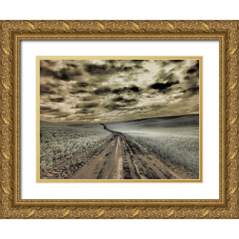 USA-Washington State-Palouse-Country backroad through spring crops Gold Ornate Wood Framed Art Print with Double Matting by Eggers, Terry