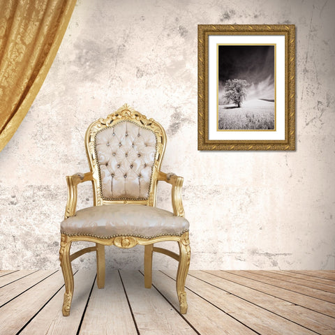 USA-Palouse Country-Infrared Palouse fields and lone tree Gold Ornate Wood Framed Art Print with Double Matting by Eggers, Terry