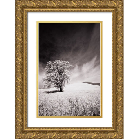USA-Palouse Country-Infrared Palouse fields and lone tree Gold Ornate Wood Framed Art Print with Double Matting by Eggers, Terry