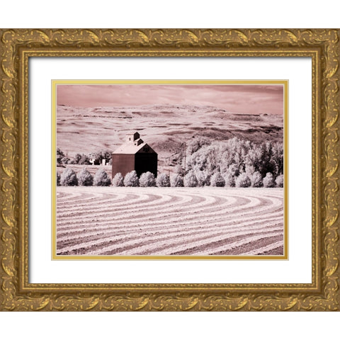 USA-Washington State-Palouse-Harvest lies in field with barn Gold Ornate Wood Framed Art Print with Double Matting by Eggers, Terry