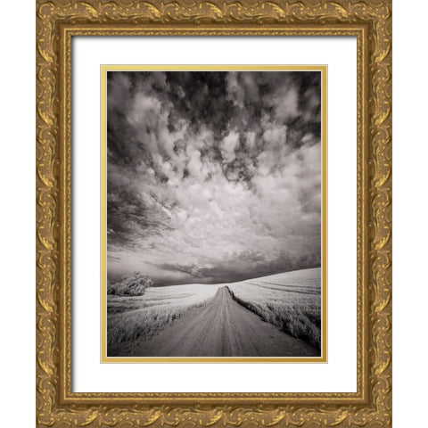 USA-Washington State-Palouse-Backcountry road through wheat field and clouds Gold Ornate Wood Framed Art Print with Double Matting by Eggers, Terry