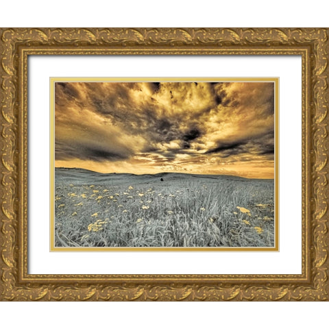 USA-Washington State-Palouse-Spring Poppies and wheat field and clouds Gold Ornate Wood Framed Art Print with Double Matting by Eggers, Terry