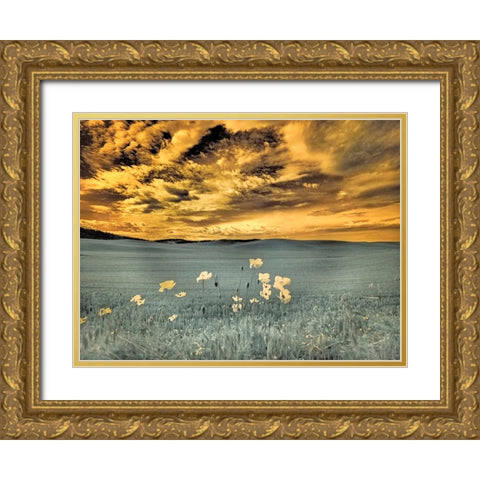 USA-Washington State-Palouse-Spring Poppies and wheat field and clouds Gold Ornate Wood Framed Art Print with Double Matting by Eggers, Terry