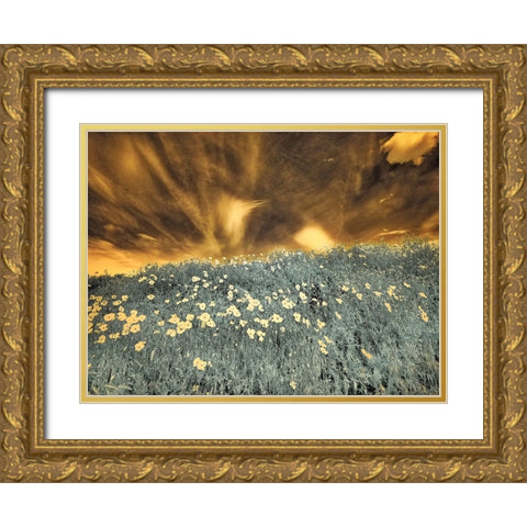 USA-Washington State-Palouse-Spring Poppies and Backcountry road through wheat field and clouds Gold Ornate Wood Framed Art Print with Double Matting by Eggers, Terry