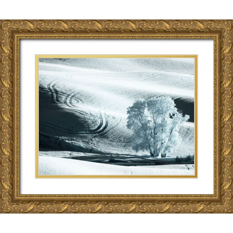 USA-Washington State-Palouse region-Lone tree in Field Gold Ornate Wood Framed Art Print with Double Matting by Eggers, Terry