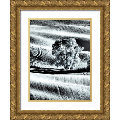 USA-Washington State-Palouse region-Lone tree in Field Gold Ornate Wood Framed Art Print with Double Matting by Eggers, Terry