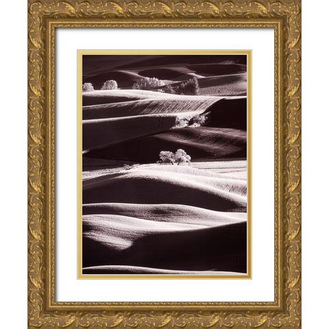 USA-Washington State-Palouse region-Rolling hills at Sunset Gold Ornate Wood Framed Art Print with Double Matting by Eggers, Terry