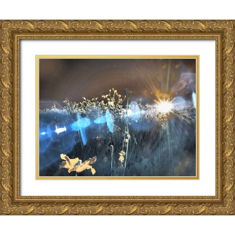 USA-Washington State-Palouse region wildflowers Gold Ornate Wood Framed Art Print with Double Matting by Eggers, Terry