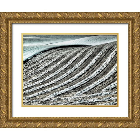 USA-Washington State-Palouse region-Harvest cut lines in Field Gold Ornate Wood Framed Art Print with Double Matting by Eggers, Terry