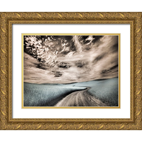 USA-Washington State-Palouse region-winding backcountry road through wheat fields Gold Ornate Wood Framed Art Print with Double Matting by Eggers, Terry