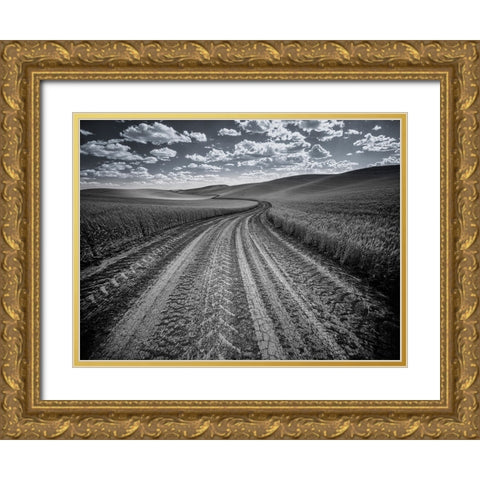 USA-Washington State-Palouse-Country backroad through spring crops Gold Ornate Wood Framed Art Print with Double Matting by Eggers, Terry