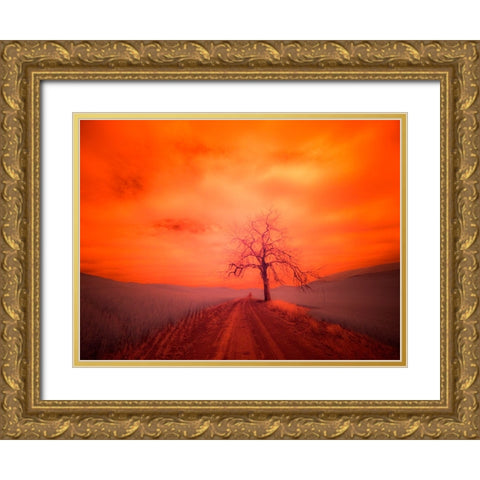 USA-Washington State-Palouse Infrared of lone tree along side country road Gold Ornate Wood Framed Art Print with Double Matting by Eggers, Terry