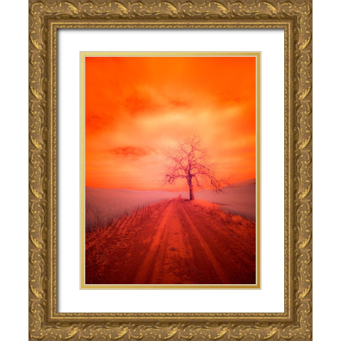 USA-Washington State-Palouse Infrared of lone tree along side country road Gold Ornate Wood Framed Art Print with Double Matting by Eggers, Terry