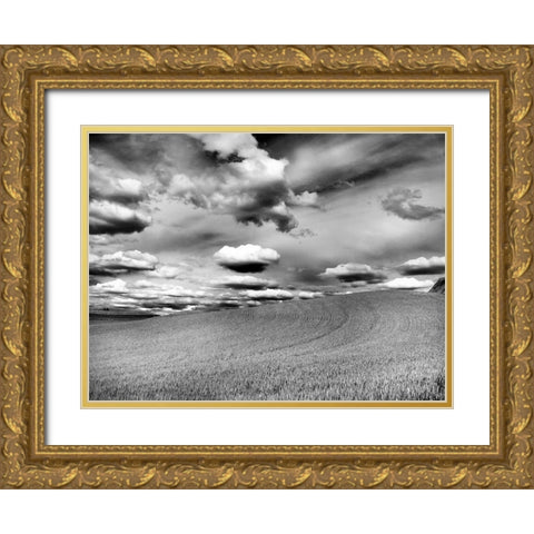 USA-Washington State-Palouse Infrared of rolling hills of crops and clouds Gold Ornate Wood Framed Art Print with Double Matting by Eggers, Terry