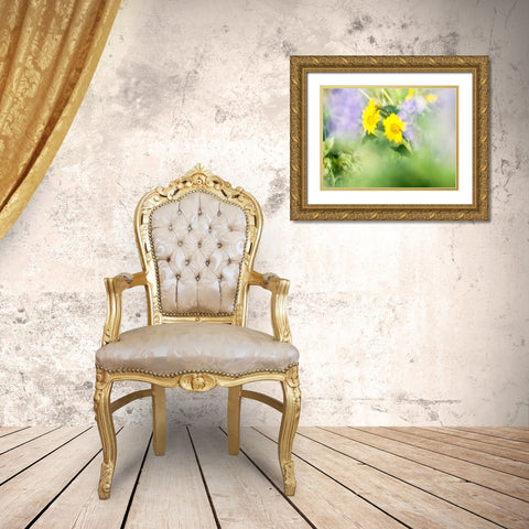 USA-Washington State Close-up of Arrowleaf Balsamroot and lupine Gold Ornate Wood Framed Art Print with Double Matting by Eggers, Terry