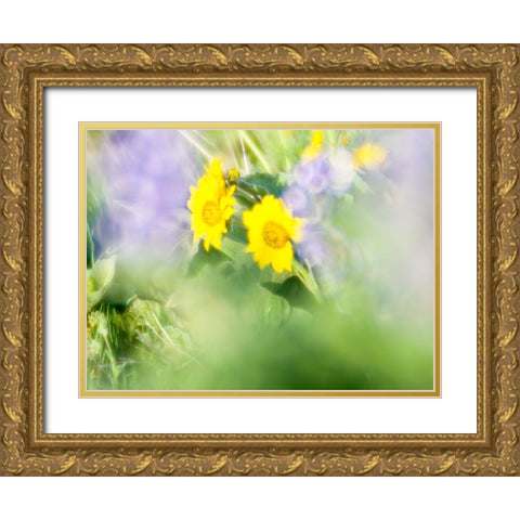 USA-Washington State Close-up of Arrowleaf Balsamroot and lupine Gold Ornate Wood Framed Art Print with Double Matting by Eggers, Terry