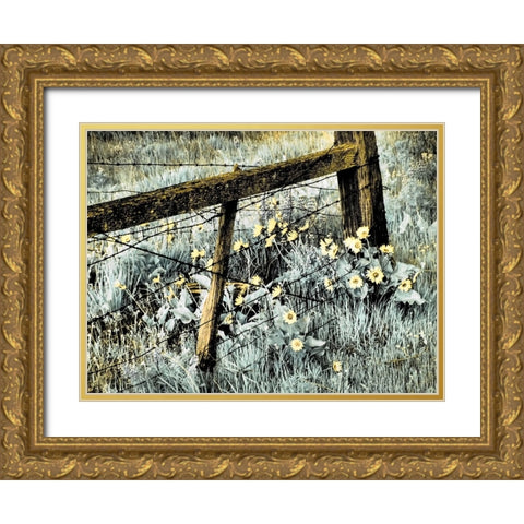 USA-Washington State Infrared capture of fence line and wildflowers Gold Ornate Wood Framed Art Print with Double Matting by Eggers, Terry
