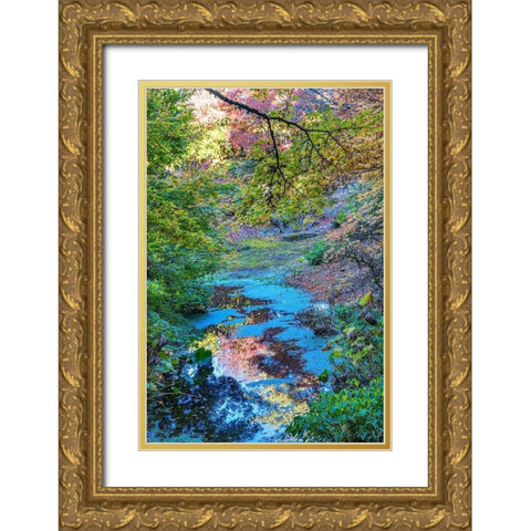 Autumn Colorful Leaves Reflection-Bellevue-Botanical Garden-Washington State Gold Ornate Wood Framed Art Print with Double Matting by Perry, William
