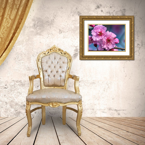 Pink peach flowering fruit tree-Bellevue-Washington State Gold Ornate Wood Framed Art Print with Double Matting by Perry, William