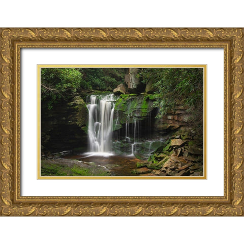 First or Upper Ekalaka Falls-Blackwater Falls State Park-West Virginia Gold Ornate Wood Framed Art Print with Double Matting by Majchrowicz, Alan
