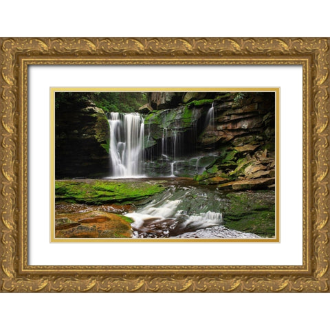 First or Upper Ekalaka Falls-Blackwater Falls State Park-West Virginia Gold Ornate Wood Framed Art Print with Double Matting by Majchrowicz, Alan