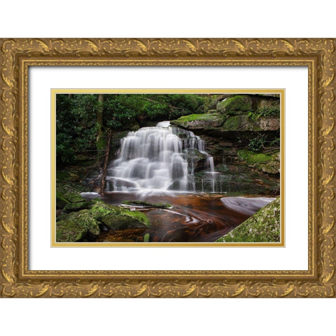 Second Ekalaka Falls-Blackwater Falls State Park-West Virginia Gold Ornate Wood Framed Art Print with Double Matting by Majchrowicz, Alan