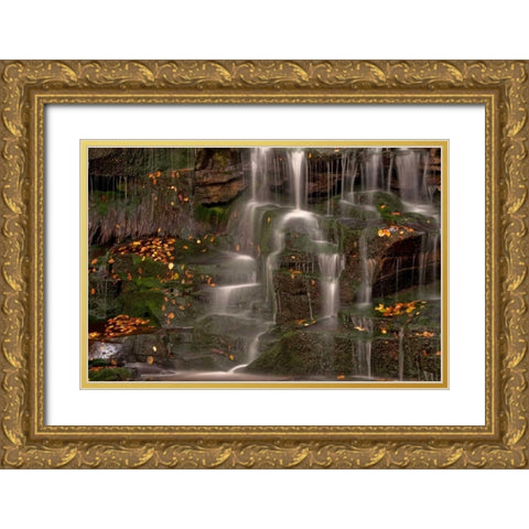 WV, Blackwater Falls Waterfall on rock face Gold Ornate Wood Framed Art Print with Double Matting by OBrien, Jay