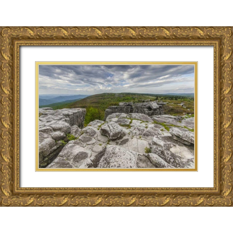 WV, Landscape in Dolly Sods Wilderness Area Gold Ornate Wood Framed Art Print with Double Matting by OBrien, Jay