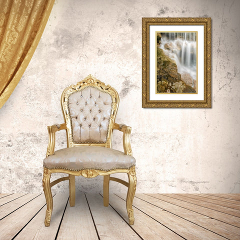 West Virginia, Thomas Close-up of Douglas Falls Gold Ornate Wood Framed Art Print with Double Matting by OBrien, Jay