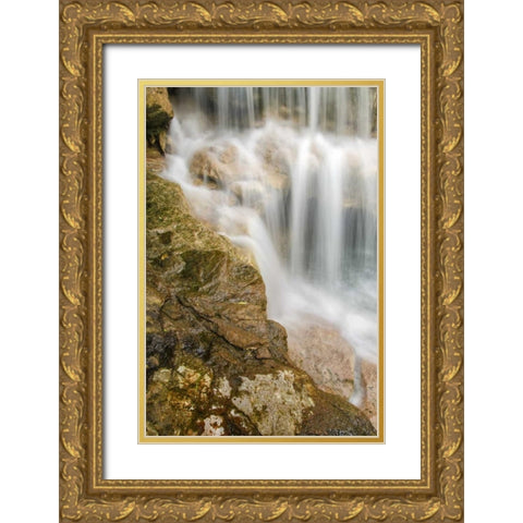 West Virginia, Thomas Close-up of Douglas Falls Gold Ornate Wood Framed Art Print with Double Matting by OBrien, Jay