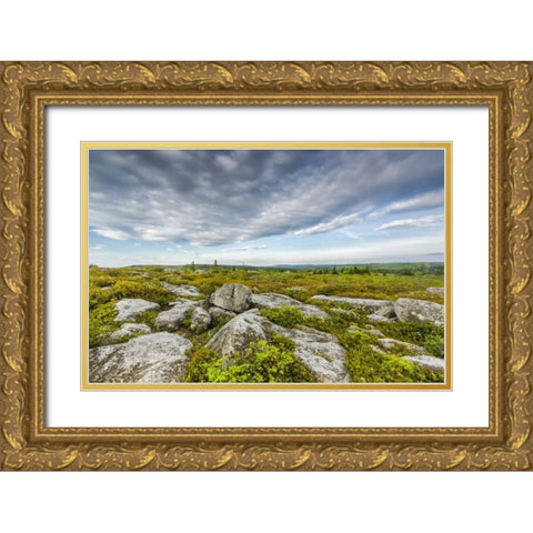 WV, Landscape in Dolly Sods Wilderness Area Gold Ornate Wood Framed Art Print with Double Matting by OBrien, Jay