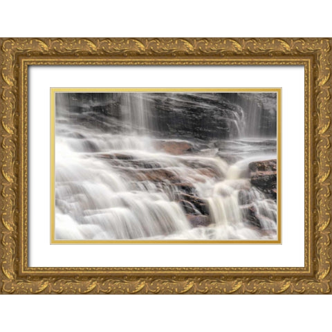 West Virginia, Davis, Blackwater Falls The falls Gold Ornate Wood Framed Art Print with Double Matting by OBrien, Jay