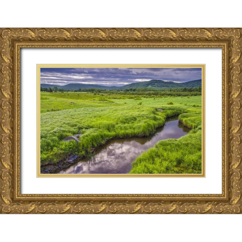 WV, Davis Landscape of the Canaan Valley Gold Ornate Wood Framed Art Print with Double Matting by OBrien, Jay