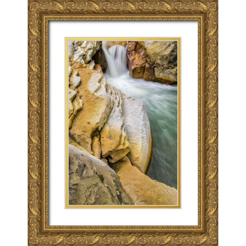 West Virginia, Thomas Close-up of Douglas Falls Gold Ornate Wood Framed Art Print with Double Matting by OBrien, Jay