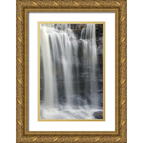 West Virginia, Davis, Blackwater Falls The falls Gold Ornate Wood Framed Art Print with Double Matting by OBrien, Jay