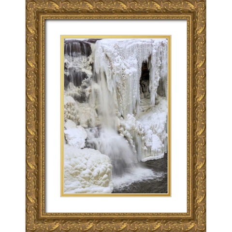 WV, Blackwater Falls Partially frozen waterfall Gold Ornate Wood Framed Art Print with Double Matting by OBrien, Jay