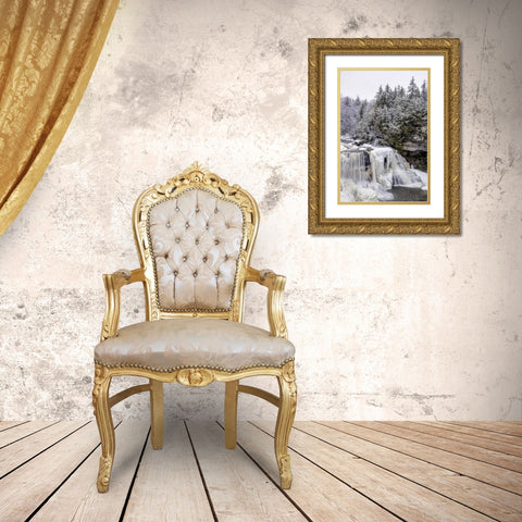 West Virginia Waterfall in winter landscape Gold Ornate Wood Framed Art Print with Double Matting by OBrien, Jay