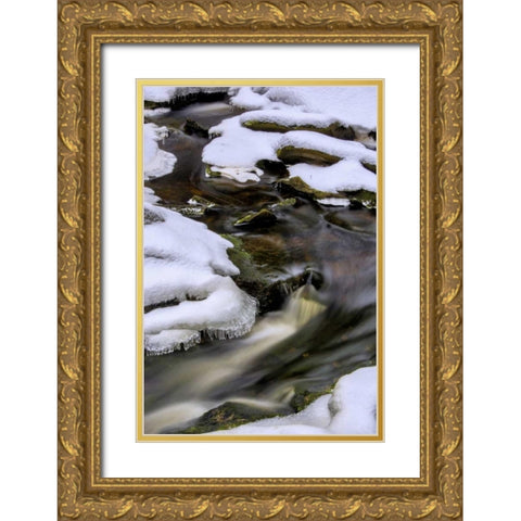 West Virginia, Blackwater Falls Flowing stream Gold Ornate Wood Framed Art Print with Double Matting by OBrien, Jay
