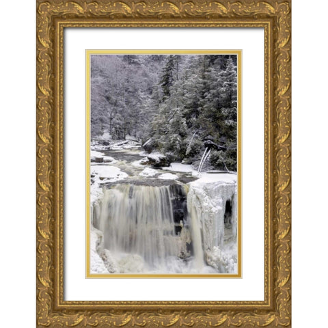 West Virginia Waterfall in winter landscape Gold Ornate Wood Framed Art Print with Double Matting by OBrien, Jay