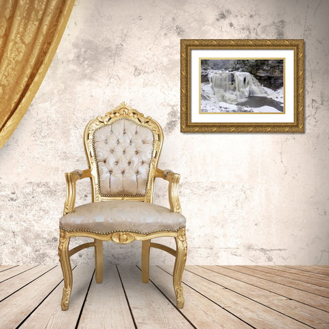 West Virginia Waterfall in winter landscape Gold Ornate Wood Framed Art Print with Double Matting by OBrien, Jay