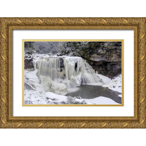West Virginia Waterfall in winter landscape Gold Ornate Wood Framed Art Print with Double Matting by OBrien, Jay