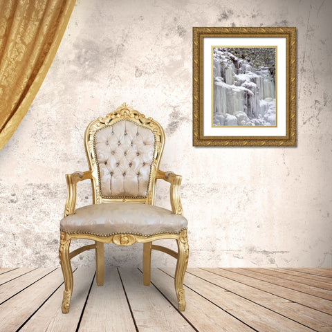 West Virginia, Blackwater Falls Frozen waterfall Gold Ornate Wood Framed Art Print with Double Matting by OBrien, Jay
