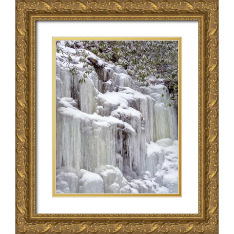 West Virginia, Blackwater Falls Frozen waterfall Gold Ornate Wood Framed Art Print with Double Matting by OBrien, Jay